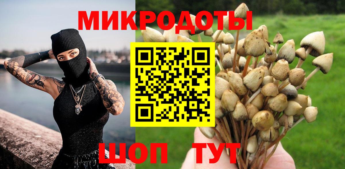 Псилоцибиновые грибы Cubensis Ханты-Мансийск